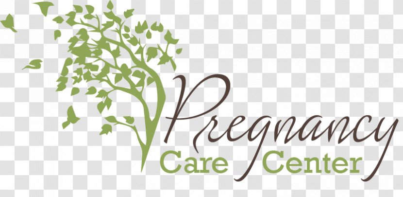 Voice Of Hope Pregnancy Center Bucyrus Abortion - Parenting - Prenatal Education Transparent PNG