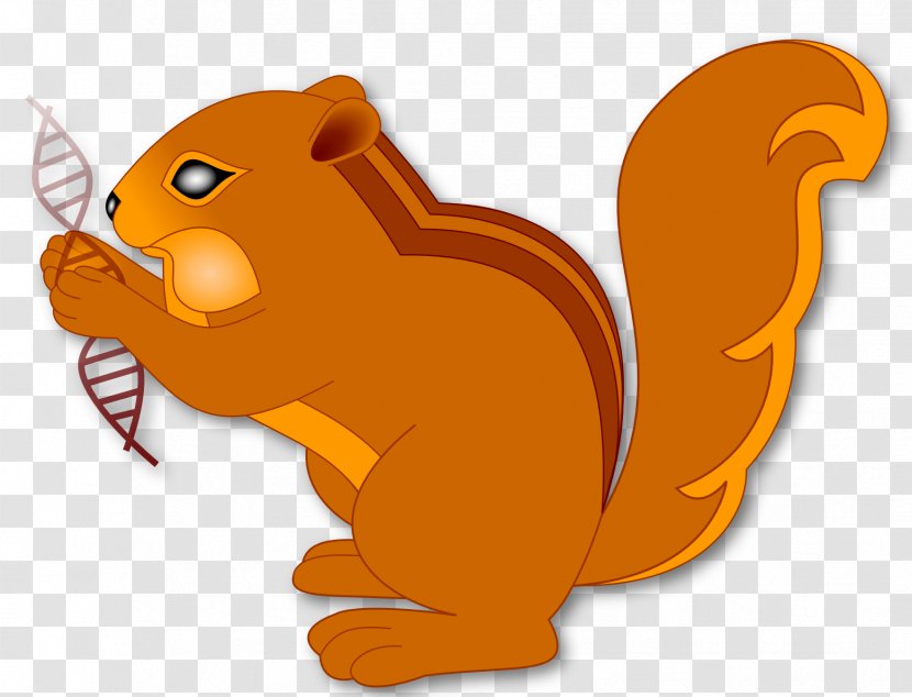 Whiskers Chipmunk Canidae Squirrel Clip Art - Fictional Character Transparent PNG