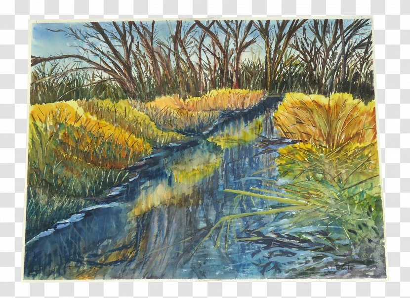 Watercolor Painting Artist Landscape Ecoregion - Flora Transparent PNG