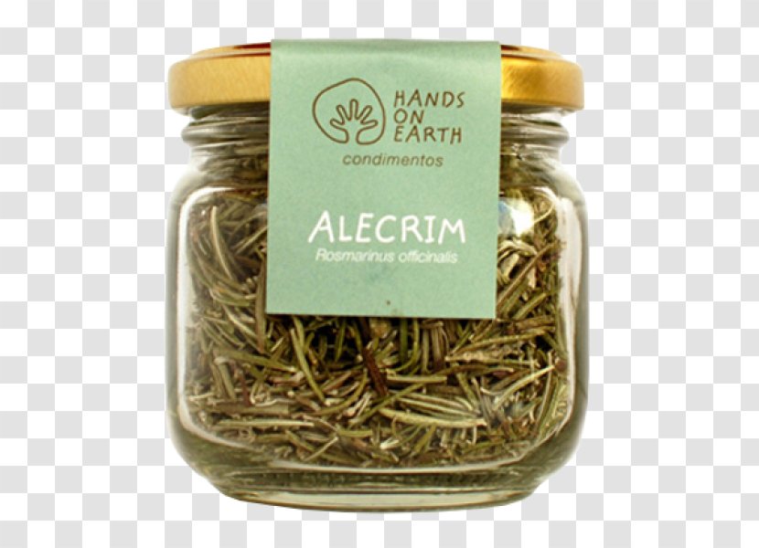 Hōjicha Spice Flavor - Alecrim Transparent PNG
