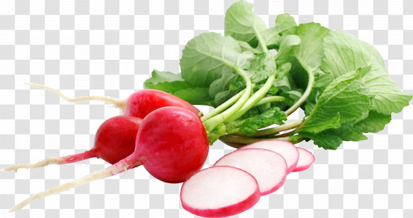 Vegetable Daikon Radishes Food Raphanus Raphanistrum Subsp. Sativus - Royaltyfree Transparent PNG