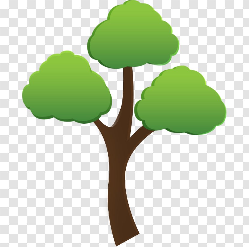 Manvel Tree Care & Removal Quality Service - Estimation - Grass Transparent PNG
