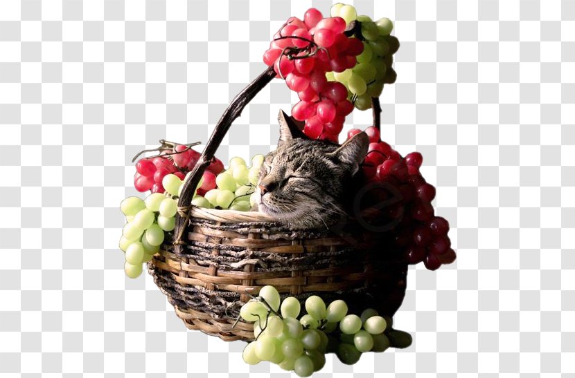 Les Accommodements Raisonnables Cat The Strawberry Basket - Heart - Fruit In Kind Transparent PNG