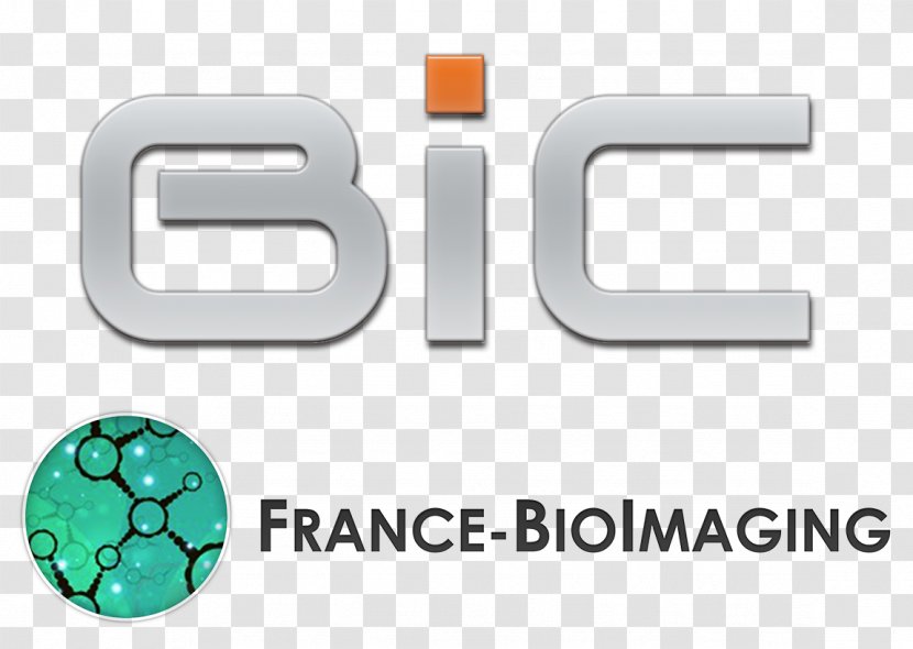 Biological Imaging Research Medical Curie Institute Neuroscience - Technology Orange Transparent PNG