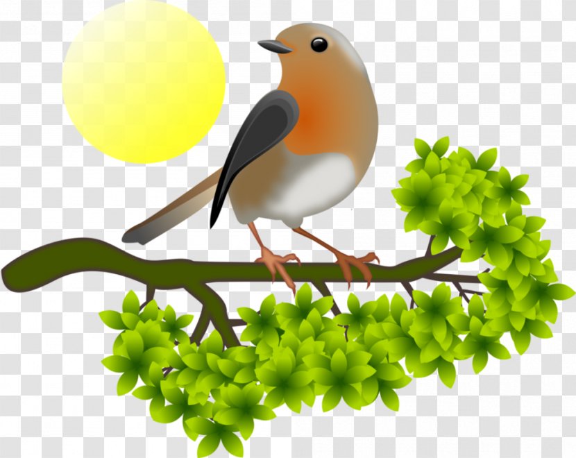 European Robin Clip Art - Old World Flycatcher - Grass Transparent PNG