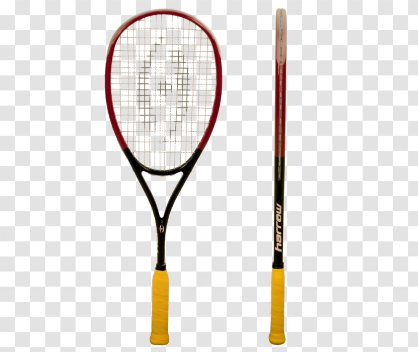 Racket Squash Sporting Goods Tecnifibre - Tennis - Sport Transparent PNG