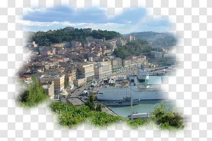 Port Of Ancona Urbino Regions Italy Central Besalú - Coast Transparent PNG
