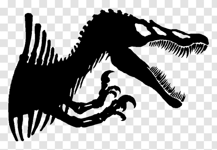 Spinosaurus Tyrannosaurus Dinosaur Velociraptor Jurassic Park Transparent PNG