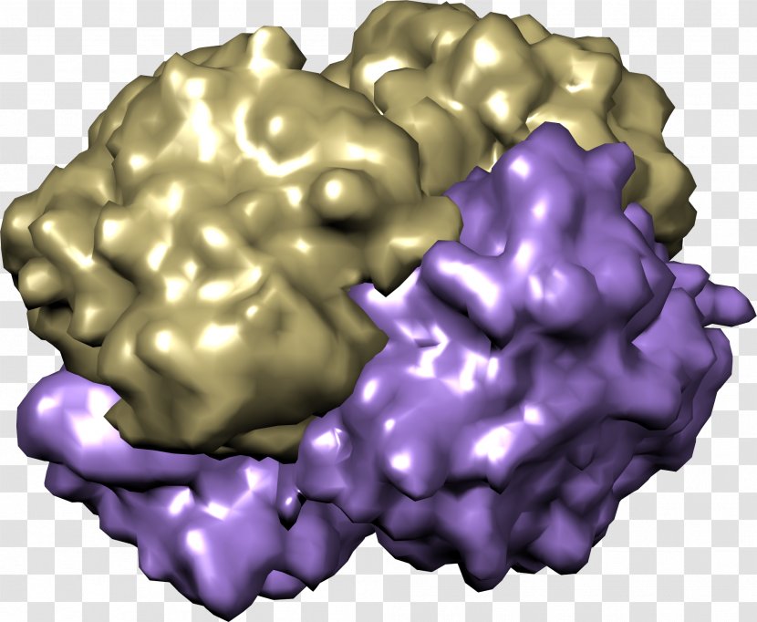 Hemoglobin Organism Chemist Oxygen Purple - Silhouette - Flower Transparent PNG