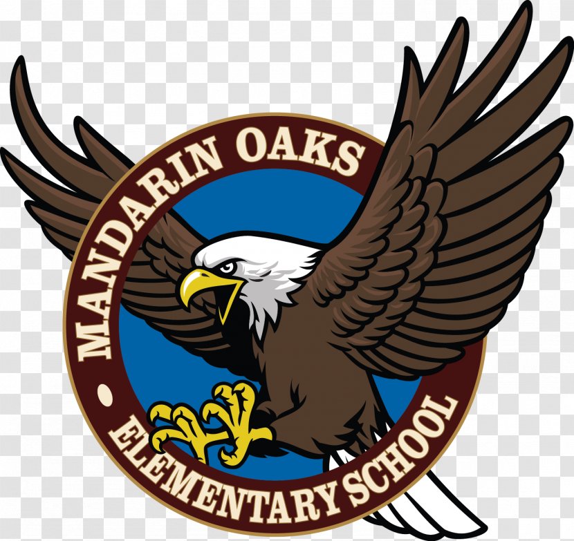 Mandarin Oaks Elementary School Bald Eagle - Accipitriformes Transparent PNG