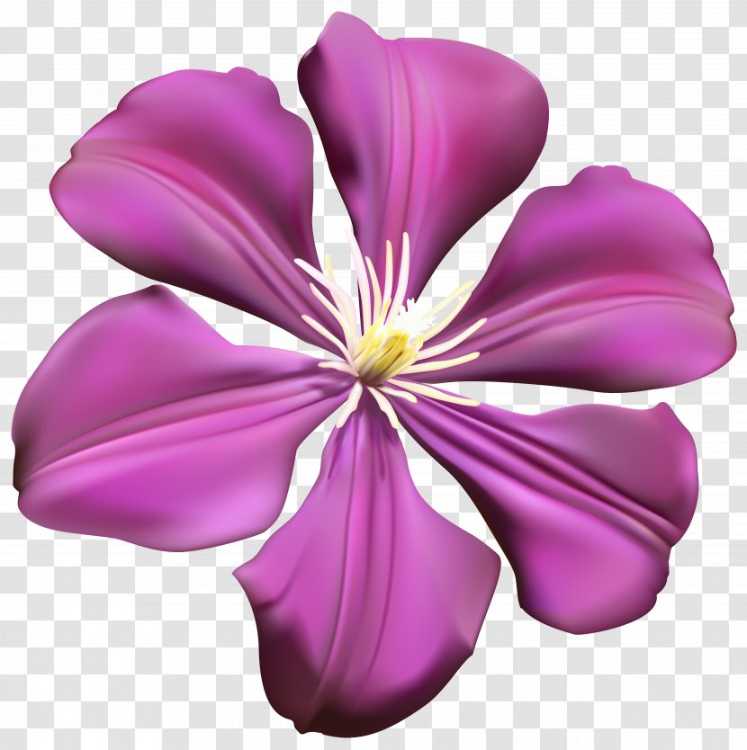 Purple Flower - Violet - Transparent Clip Art Image Transparent PNG