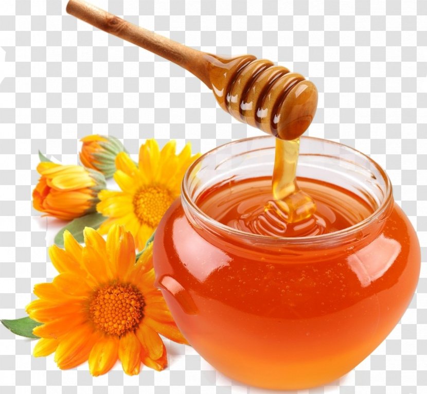 Honey Inverted Sugar Syrup Food Ingredient - Spoon Transparent PNG