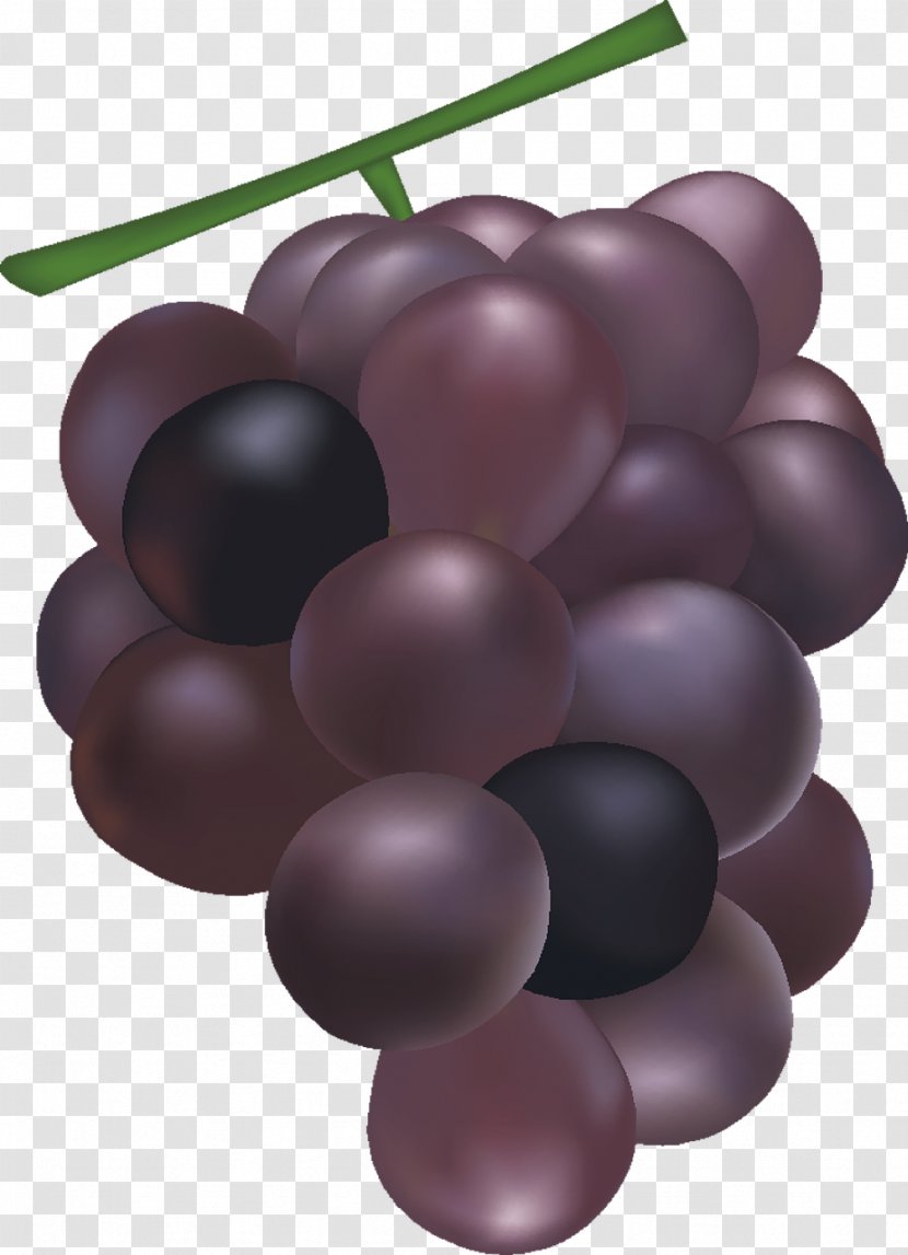 Common Grape Vine Wine Seed Extract Food - Grapefruit Transparent PNG