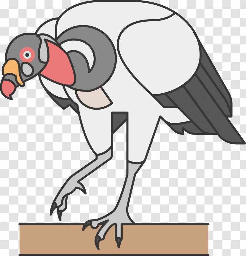 Common Ostrich Bird Lineated Woodpecker Icon - Beak Transparent PNG