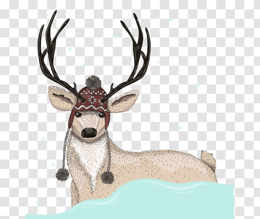 Deer Stock Photography Royalty-free Illustration - Winter - Hand-painted Transparent PNG