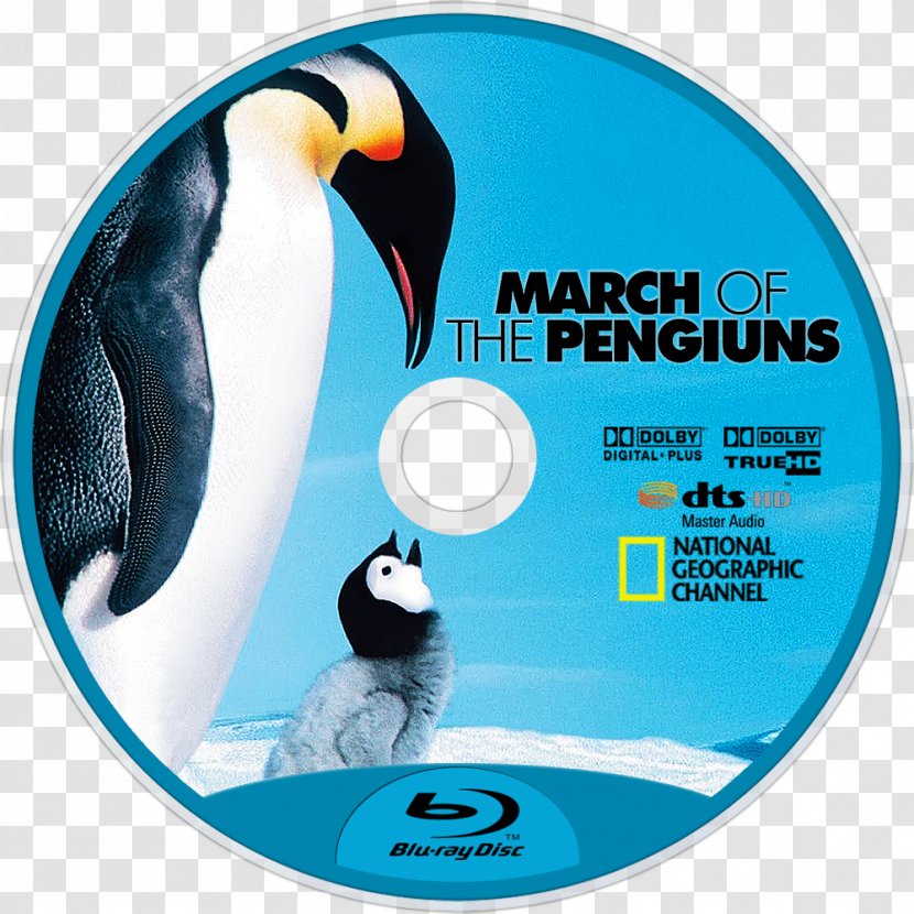 March Of The Penguins Documentary Film Emperor Penguin - Brand Transparent PNG