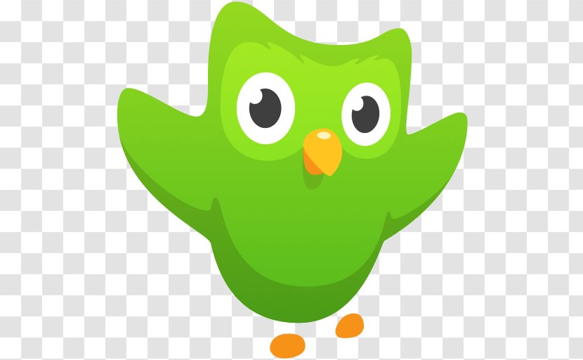 Duolingo Memrise Learning Language Education - School Transparent PNG