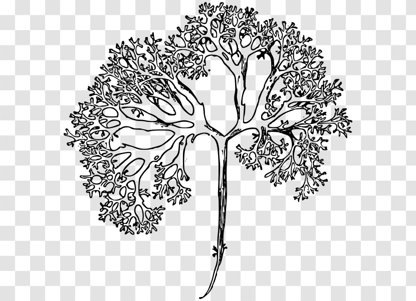 Floral Design Twig Drawing Cut Flowers - Line Art Transparent PNG