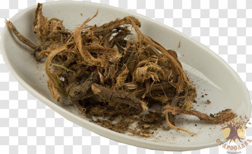Romeritos Root Red Plant Recipe - Animal Source Foods Transparent PNG