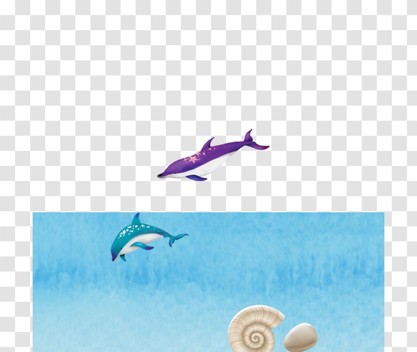Dolphin Summer Wallpaper - Marine Mammal - Hand Painted Conch Transparent PNG
