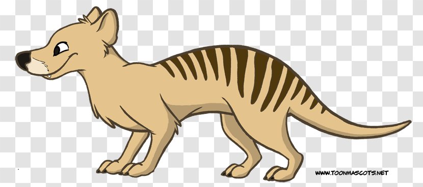 Tiger Thylacine Whiskers Gray Wolf Mowgli - Shere Khan - Cartoon Transparent PNG