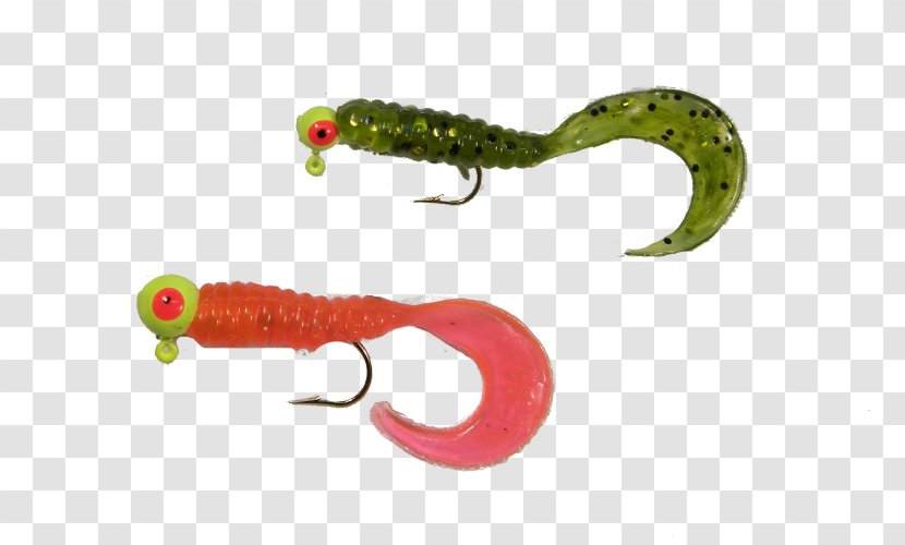 Maumee River Worm Walleye Fishing Bait - Organism Transparent PNG