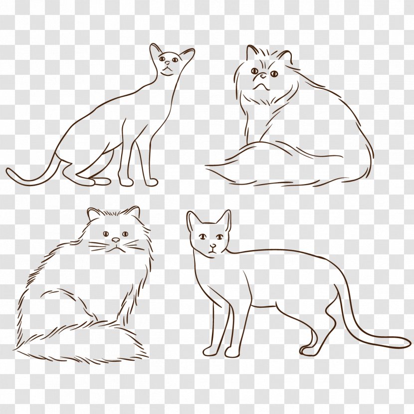 Persian Cat Bengal Turkish Angora Siamese Himalayan - Domestic Short Haired - Hand-drawn Line Pet Vector Material Transparent PNG