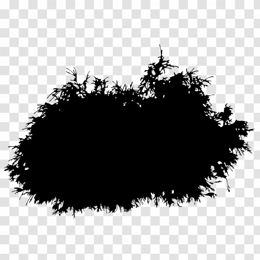 Tree Font Line Black M Transparent PNG