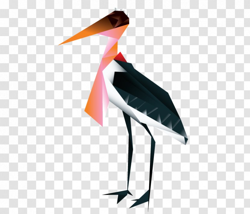 Water Bird Stork Crane Beak Transparent PNG