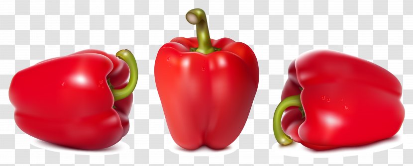 Bell Pepper Chili Vegetable Spice Transparent PNG