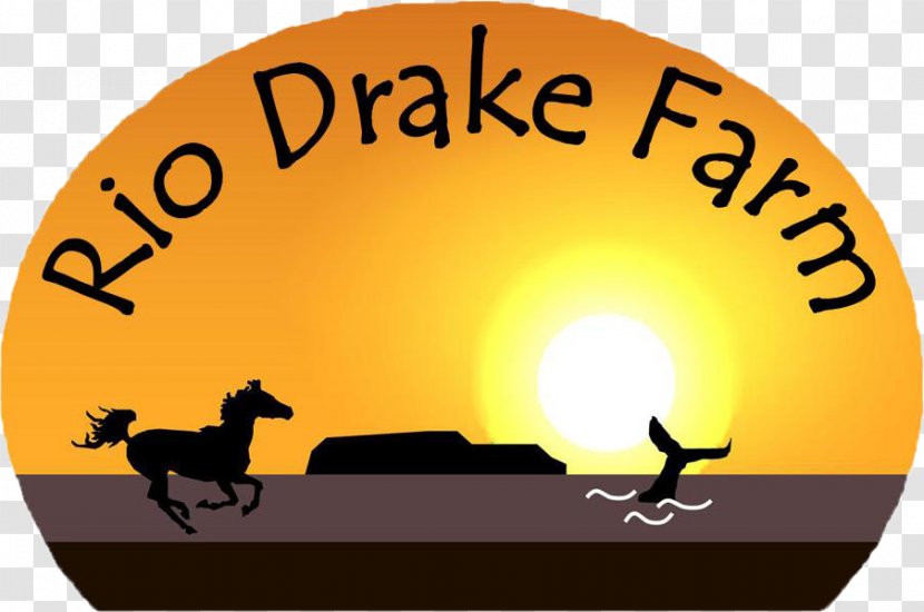 Frog Clip Art Rio Drake Farm Brand Logo Transparent PNG