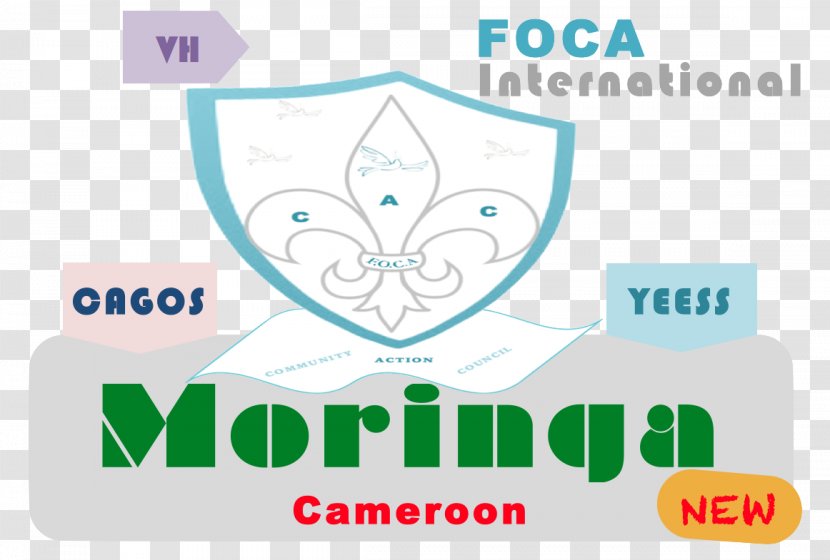 Retail Drumstick Tree Logo Shopping - Foca Transparent PNG