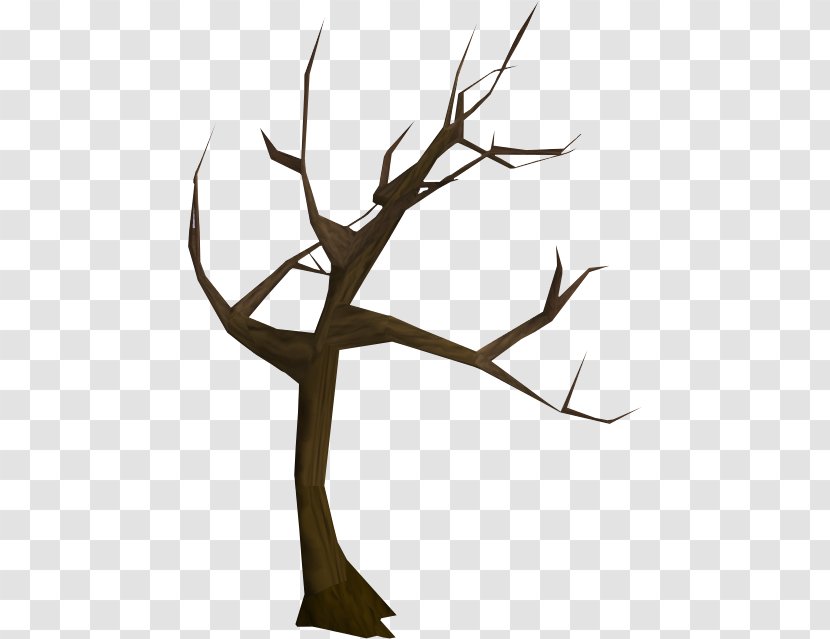 Wikia Twig RuneScape - Tree - Stanford Transparent PNG