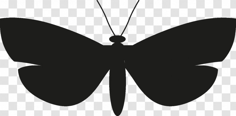 Butterfly Silhouette - Blackandwhite - Metal Transparent PNG