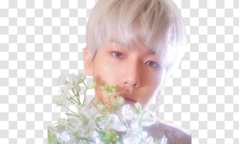 Exo-CBX Blooming Days K-pop - Tree - Exo Icon Transparent PNG