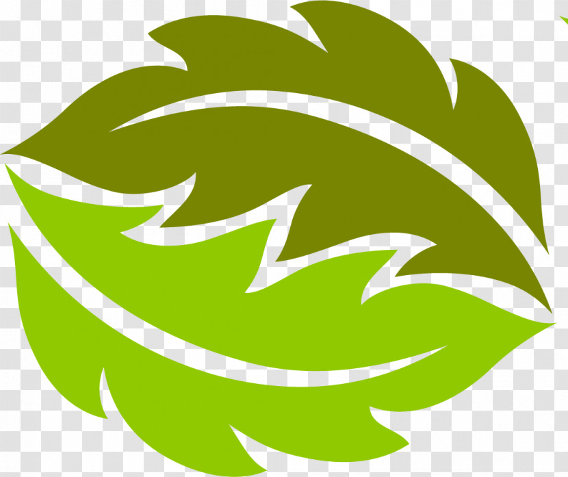 Leaf Plant Stem Logo Flower Green Transparent PNG