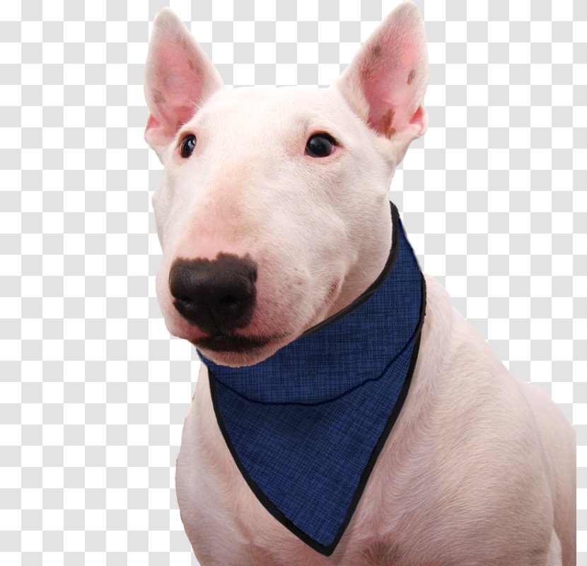 Dog Kerchief Scarf Clothing Collar - Handkerchief Transparent PNG