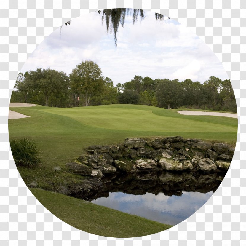 Mission Inn Resort & Club Golf Course Orlando Tees - Equipment Transparent PNG
