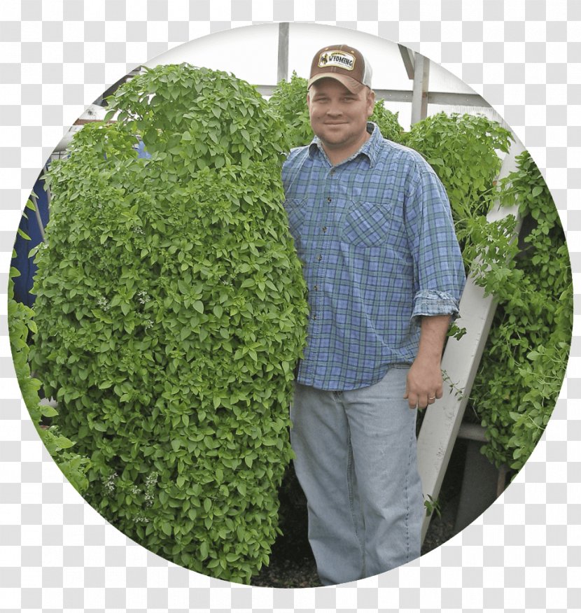 Green Wall Gardening Vertical Farming - Herb - Hi Tech Circle Transparent PNG
