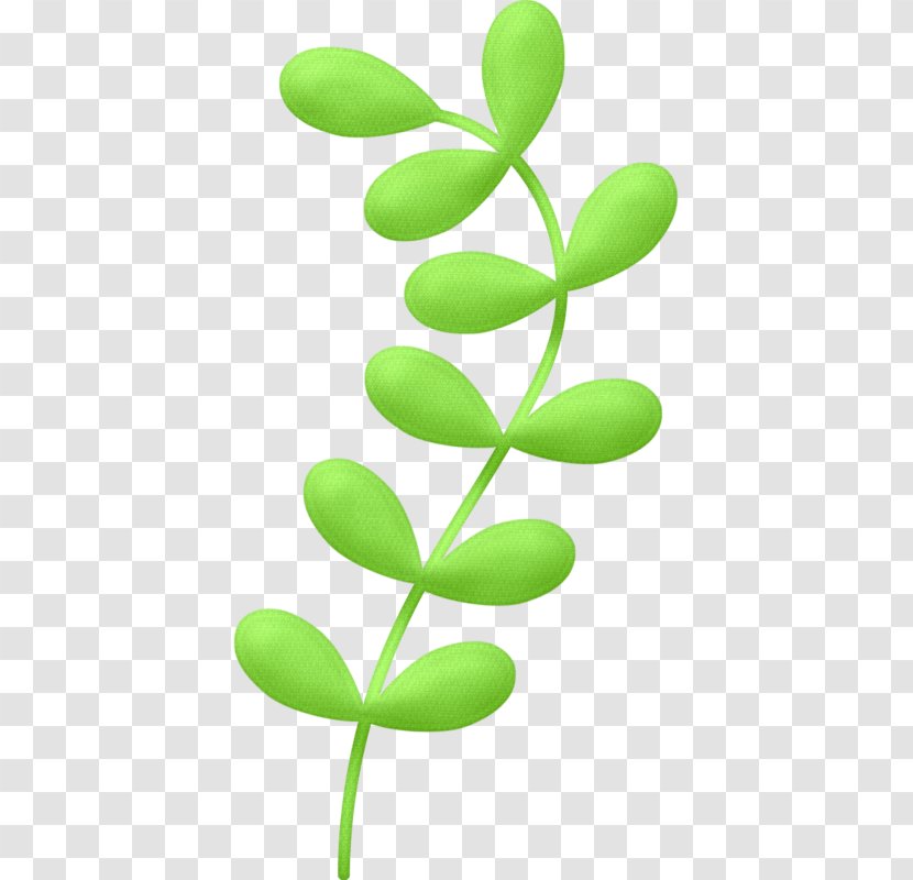 Clip Art Image Drawing Animation - Seasweed Ornament Transparent PNG
