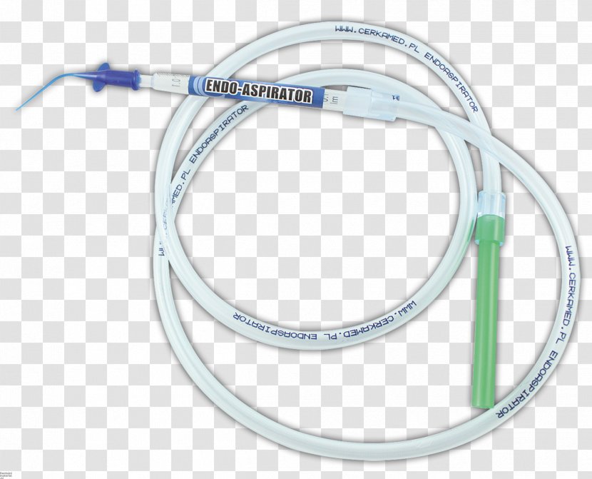 Electronic Apex Locator Endodontics Root Canal Dentistry Tool - Tooth - Dental Material Transparent PNG