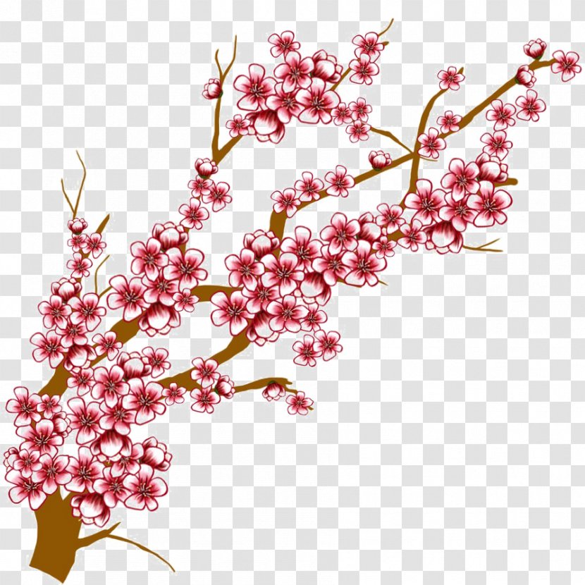 Cherry Blossom Tree Drawing Flower Twig Cut Flowers Transparent Png