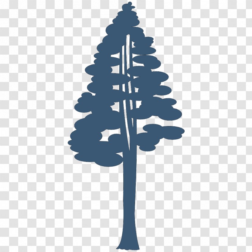 Coast Redwood Giant Sequoia Drawing Silhouette Clip Art - Leaf - Department Of Forestry Transparent PNG