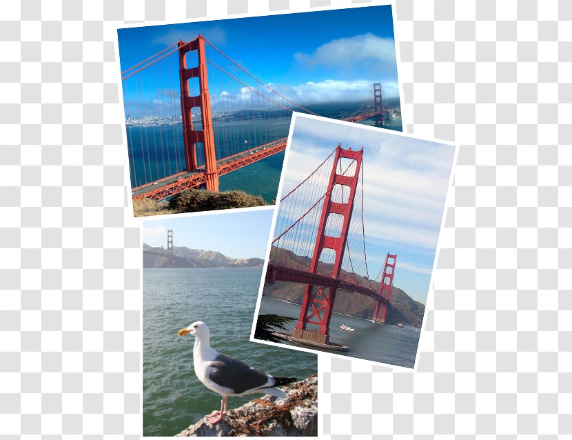 San Francisco Advertising Picture Frames Collage Leisure - Heat Transparent PNG