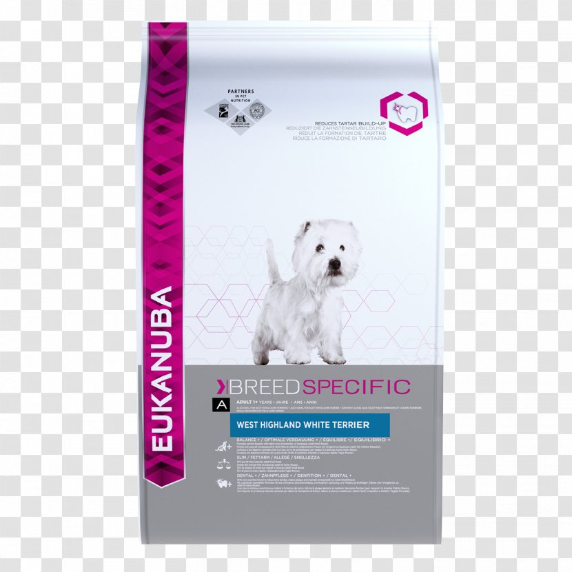 West Highland White Terrier Jack Russell Puppy Eukanuba Dog Food - Veterinarian Transparent PNG