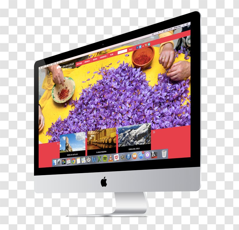 LCD Television Web Page Computer Monitors Usability Design - Monitor - Berries Ecommerce Transparent PNG