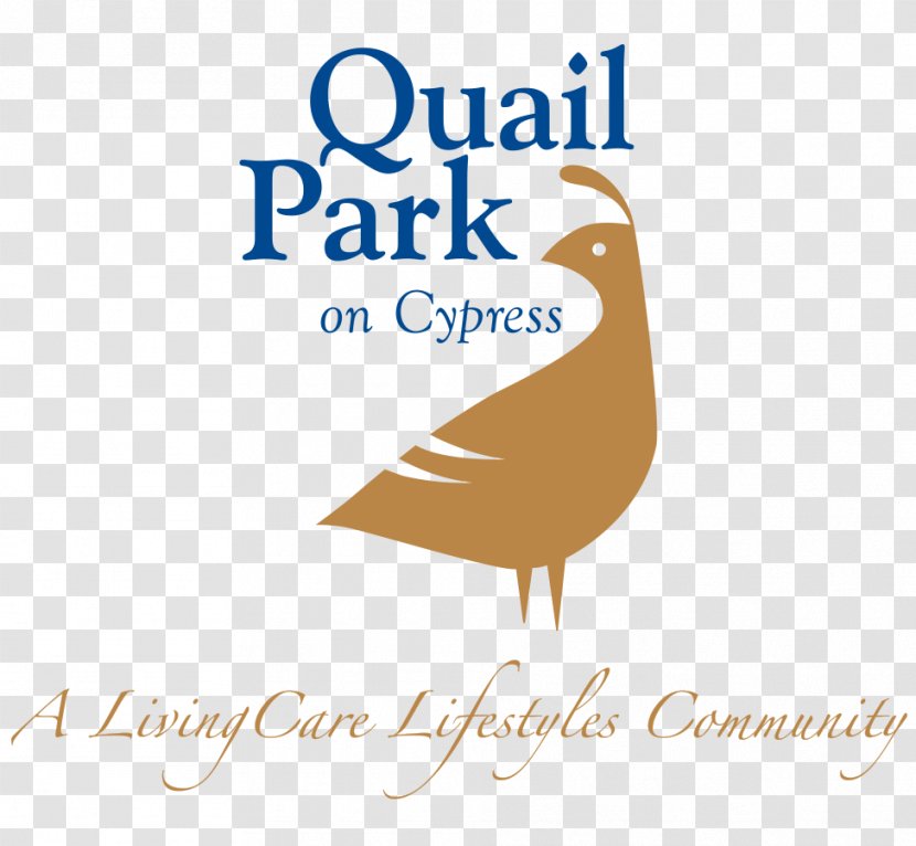 Quail Park On Cypress Logo Memory Care Residences Of Visalia At Shannon Ranch Oro Valley - California - Beak Transparent PNG