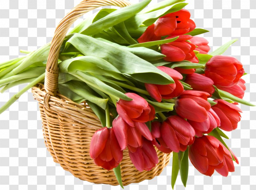 Cut Flowers Basket Tulip Flower Bouquet - Floristry - Good Morning Transparent PNG