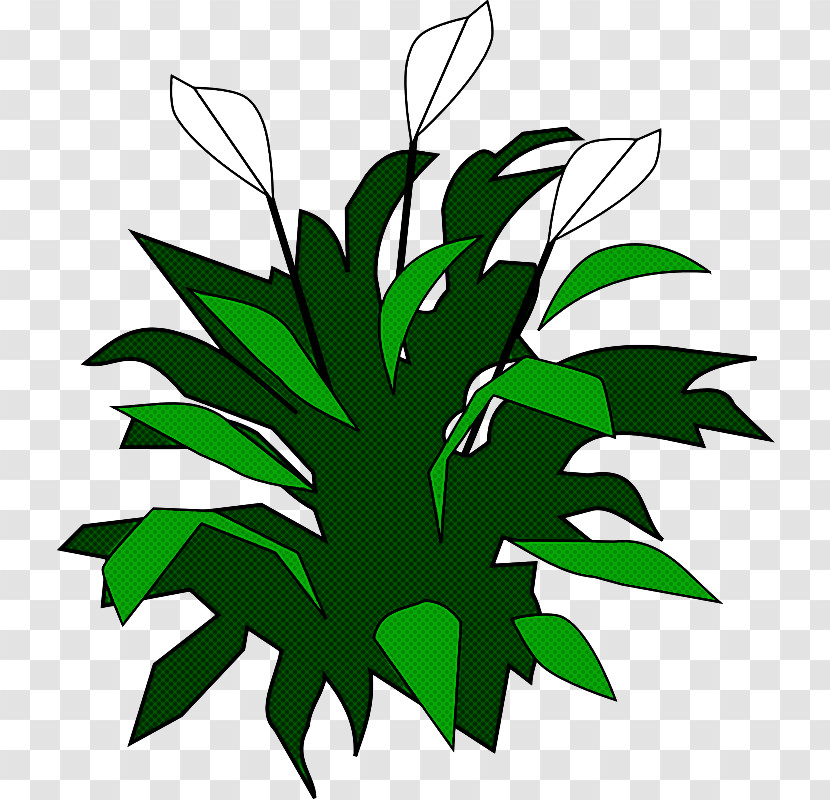 Leaf Green Plant Flower Vascular Plant Transparent PNG