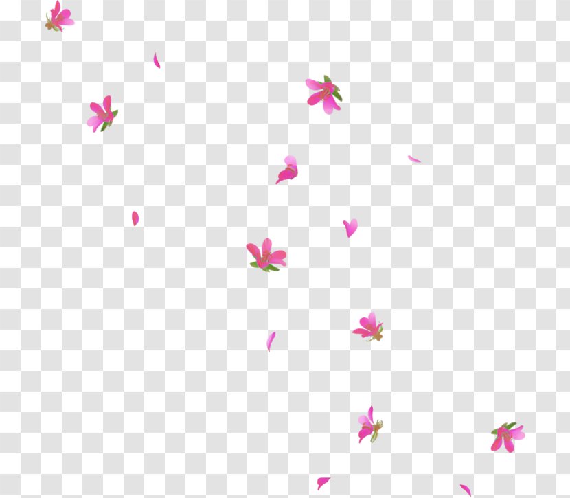 Pink Petal Text Magenta Pedicel - Plant Flower Transparent PNG